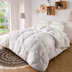 copy of Couette FREEZIA