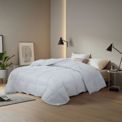 Couette 100% plumes - 200G